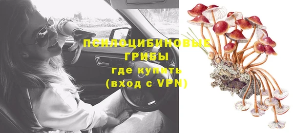 СК Бронницы