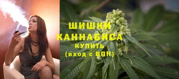 стафф Бородино