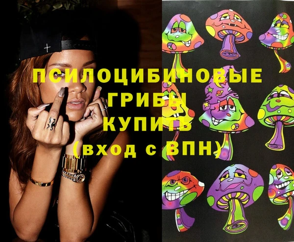 стафф Бородино
