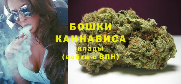 стафф Бородино
