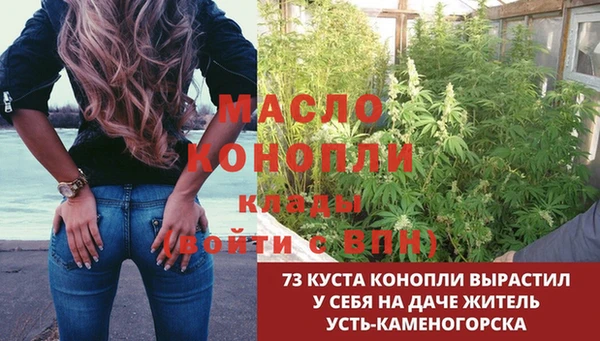 стафф Бородино