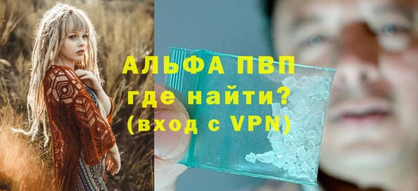 стафф Бородино